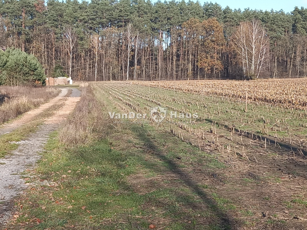Działka Sprzedaż Rakowo Lipki